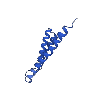 28877_8f68_D_v1-3
E. coli cytochrome bo3 ubiquinol oxidase monomer