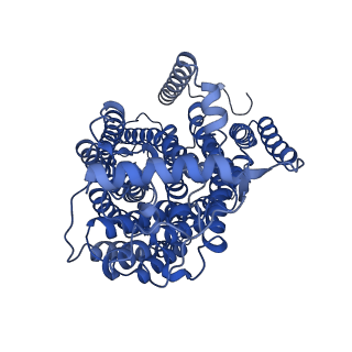 28879_8f6c_A_v1-4
E. coli cytochrome bo3 ubiquinol oxidase dimer