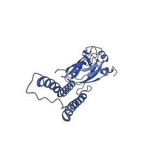 28879_8f6c_B_v1-4
E. coli cytochrome bo3 ubiquinol oxidase dimer