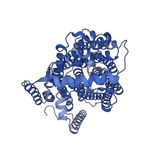 28879_8f6c_E_v1-4
E. coli cytochrome bo3 ubiquinol oxidase dimer