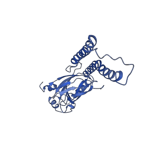 28879_8f6c_F_v1-4
E. coli cytochrome bo3 ubiquinol oxidase dimer
