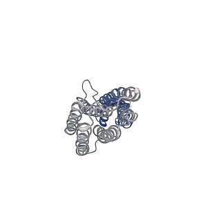 28881_8f6e_A_v1-0
Cryo-EM structure of a Zinc-loaded wild-type YiiP-Fab complex