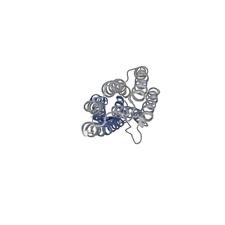 28881_8f6e_B_v1-0
Cryo-EM structure of a Zinc-loaded wild-type YiiP-Fab complex