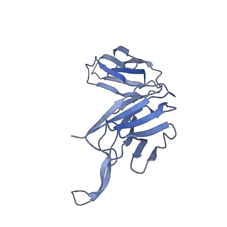 28881_8f6e_F_v1-0
Cryo-EM structure of a Zinc-loaded wild-type YiiP-Fab complex