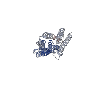 28882_8f6f_A_v1-0
Cryo-EM structure of a Zinc-loaded D51A mutant of the YiiP-Fab complex