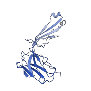 28882_8f6f_C_v1-0
Cryo-EM structure of a Zinc-loaded D51A mutant of the YiiP-Fab complex