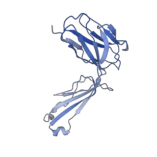 28882_8f6f_E_v1-0
Cryo-EM structure of a Zinc-loaded D51A mutant of the YiiP-Fab complex