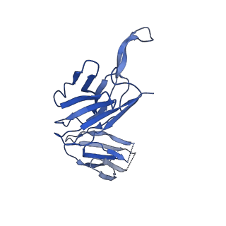 28882_8f6f_F_v1-0
Cryo-EM structure of a Zinc-loaded D51A mutant of the YiiP-Fab complex