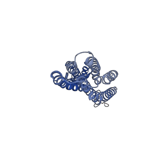 28883_8f6h_A_v1-0
Cryo-EM structure of a Zinc-loaded asymmetrical TMD D70A mutant of the YiiP-Fab complex