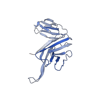 28883_8f6h_D_v1-0
Cryo-EM structure of a Zinc-loaded asymmetrical TMD D70A mutant of the YiiP-Fab complex