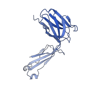 28883_8f6h_E_v1-0
Cryo-EM structure of a Zinc-loaded asymmetrical TMD D70A mutant of the YiiP-Fab complex