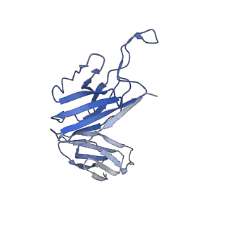 28883_8f6h_F_v1-0
Cryo-EM structure of a Zinc-loaded asymmetrical TMD D70A mutant of the YiiP-Fab complex