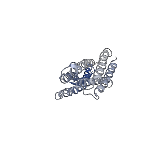 28884_8f6i_A_v1-0
Cryo-EM structure of a Zinc-loaded symmetrical D70A mutant of the YiiP-Fab complex