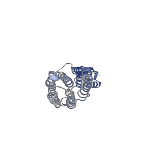 28884_8f6i_B_v1-0
Cryo-EM structure of a Zinc-loaded symmetrical D70A mutant of the YiiP-Fab complex