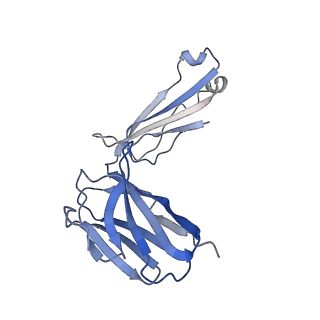 28884_8f6i_C_v1-0
Cryo-EM structure of a Zinc-loaded symmetrical D70A mutant of the YiiP-Fab complex
