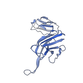 28884_8f6i_D_v1-0
Cryo-EM structure of a Zinc-loaded symmetrical D70A mutant of the YiiP-Fab complex