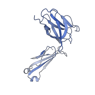28884_8f6i_E_v1-0
Cryo-EM structure of a Zinc-loaded symmetrical D70A mutant of the YiiP-Fab complex