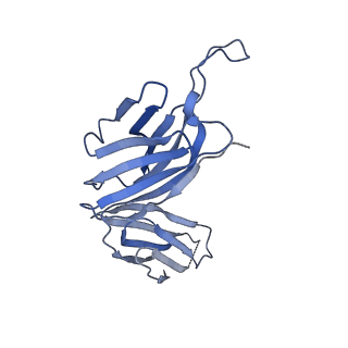 28884_8f6i_F_v1-0
Cryo-EM structure of a Zinc-loaded symmetrical D70A mutant of the YiiP-Fab complex
