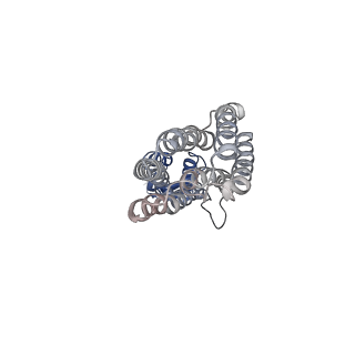 28885_8f6j_A_v1-0
Cryo-EM structure of a Zinc-loaded D287A mutant of the YiiP-Fab complex