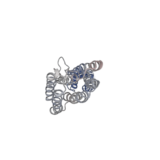 28885_8f6j_B_v1-0
Cryo-EM structure of a Zinc-loaded D287A mutant of the YiiP-Fab complex