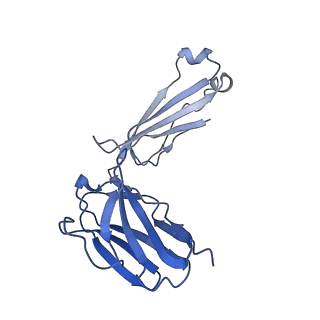 28885_8f6j_C_v1-0
Cryo-EM structure of a Zinc-loaded D287A mutant of the YiiP-Fab complex
