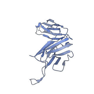 28885_8f6j_D_v1-0
Cryo-EM structure of a Zinc-loaded D287A mutant of the YiiP-Fab complex