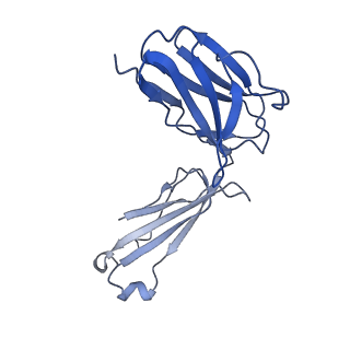 28885_8f6j_E_v1-0
Cryo-EM structure of a Zinc-loaded D287A mutant of the YiiP-Fab complex