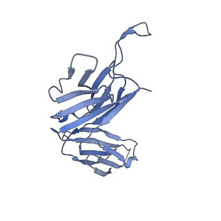 28885_8f6j_F_v1-0
Cryo-EM structure of a Zinc-loaded D287A mutant of the YiiP-Fab complex