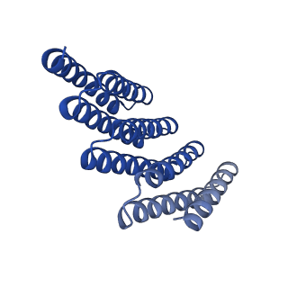 28888_8f6q_A_v1-0
CryoEM structure of designed modular protein oligomer C8-71