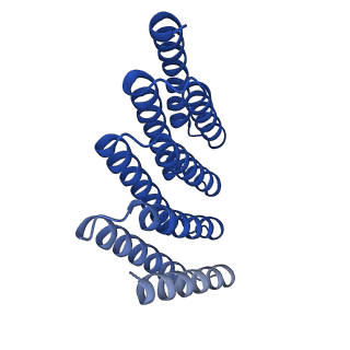 28888_8f6q_B_v1-0
CryoEM structure of designed modular protein oligomer C8-71