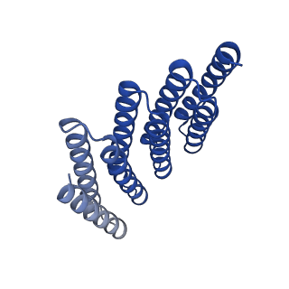 28888_8f6q_C_v1-0
CryoEM structure of designed modular protein oligomer C8-71