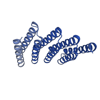 28888_8f6q_D_v1-0
CryoEM structure of designed modular protein oligomer C8-71