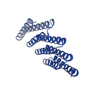 28888_8f6q_E_v1-0
CryoEM structure of designed modular protein oligomer C8-71