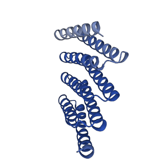 28888_8f6q_F_v1-0
CryoEM structure of designed modular protein oligomer C8-71