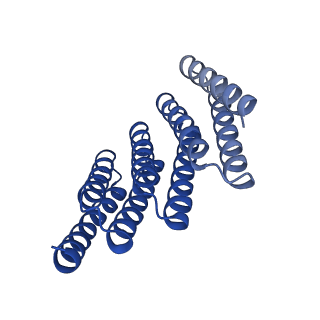 28888_8f6q_G_v1-0
CryoEM structure of designed modular protein oligomer C8-71