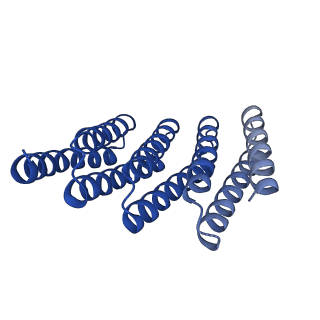 28888_8f6q_H_v1-0
CryoEM structure of designed modular protein oligomer C8-71