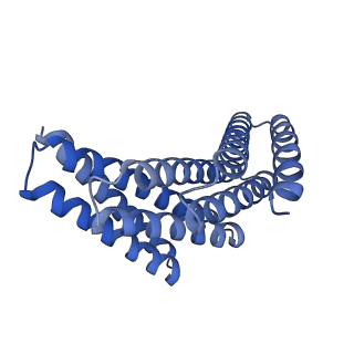 28889_8f6r_A_v1-0
CryoEM structure of designed modular protein oligomer C6-79