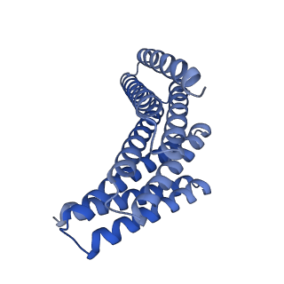 28889_8f6r_B_v1-0
CryoEM structure of designed modular protein oligomer C6-79