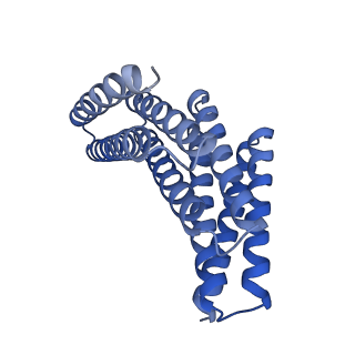 28889_8f6r_C_v1-0
CryoEM structure of designed modular protein oligomer C6-79