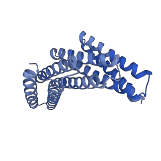 28889_8f6r_D_v1-0
CryoEM structure of designed modular protein oligomer C6-79