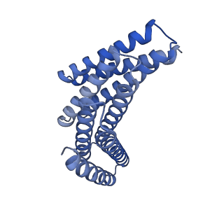 28889_8f6r_E_v1-0
CryoEM structure of designed modular protein oligomer C6-79