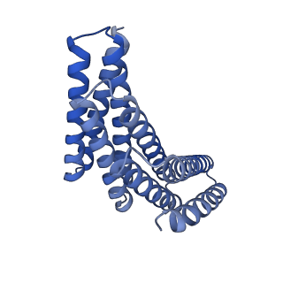 28889_8f6r_F_v1-0
CryoEM structure of designed modular protein oligomer C6-79