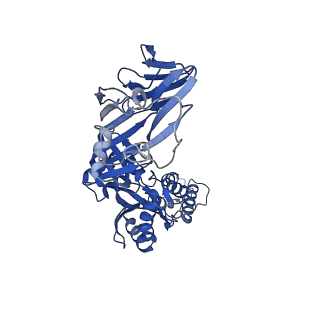 28891_8f6x_A_v1-0
cryo-EM structure of a structurally designed Human metapneumovirus F protein in complex with antibody MPE8