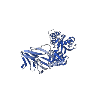 28891_8f6x_B_v1-0
cryo-EM structure of a structurally designed Human metapneumovirus F protein in complex with antibody MPE8