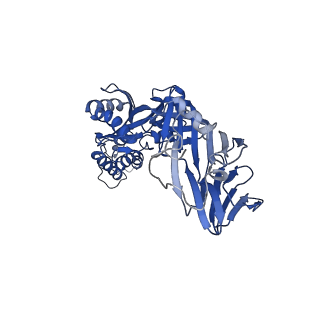 28891_8f6x_C_v1-0
cryo-EM structure of a structurally designed Human metapneumovirus F protein in complex with antibody MPE8