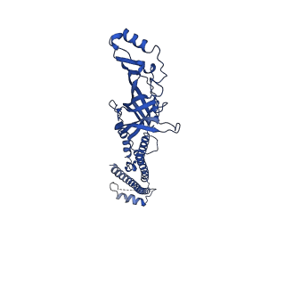28892_8f6y_A_v1-2
Cryo-EM structure of Torpedo nicotinic acetylcholine receptor in complex with etomidate, desensitized-like state