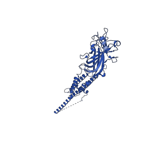 28892_8f6y_C_v1-2
Cryo-EM structure of Torpedo nicotinic acetylcholine receptor in complex with etomidate, desensitized-like state