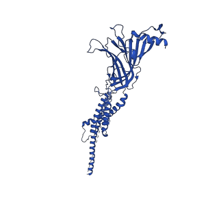 28892_8f6y_D_v1-2
Cryo-EM structure of Torpedo nicotinic acetylcholine receptor in complex with etomidate, desensitized-like state