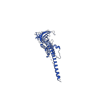 28893_8f6z_A_v1-1
Cryo-EM structure of Torpedo nicotinic acetylcholine receptor in complex with succinylcholine, desensitized-like state