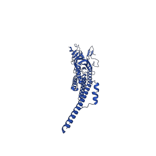28893_8f6z_B_v1-1
Cryo-EM structure of Torpedo nicotinic acetylcholine receptor in complex with succinylcholine, desensitized-like state